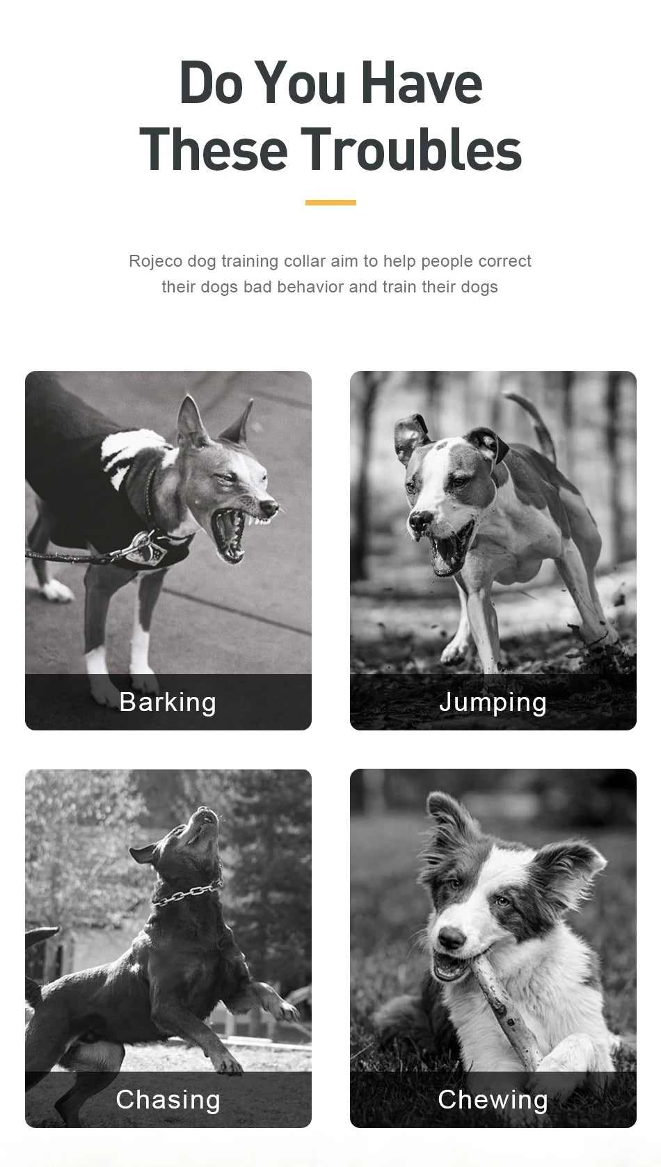 ROJECO 1000m Electric Dog Training Collar Remote Control Training Collar For Pet Rechargeable Dog Bark Control Stop Shock Collar - The Prime Shop