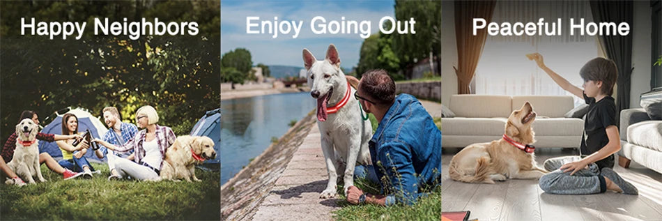 ROJECO 1000m Electric Dog Training Collar Remote Control Training Collar For Pet Rechargeable Dog Bark Control Stop Shock Collar - The Prime Shop