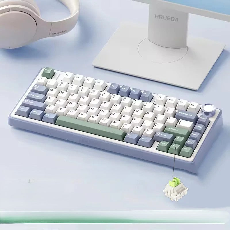 RGB Mechanical Gaming Keyboard – Gasket Mounted, Side-Engraved PBT Gradient Keycaps, 80 Keys