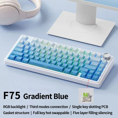 RGB Mechanical Gaming Keyboard – Gasket Mounted, Side-Engraved PBT Gradient Keycaps, 80 Keys