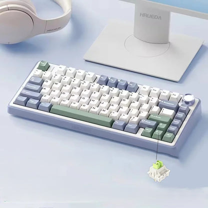 RGB Mechanical Gaming Keyboard – Gasket Mounted, Side-Engraved PBT Gradient Keycaps, 80 Keys