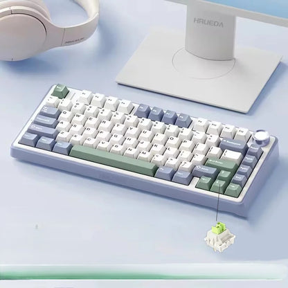 RGB Mechanical Gaming Keyboard – Gasket Mounted, Side-Engraved PBT Gradient Keycaps, 80 Keys